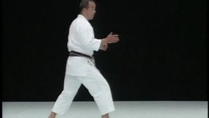 Лучшие техники каратэ шотокан от Рюдзи Сугита. Ч 8.