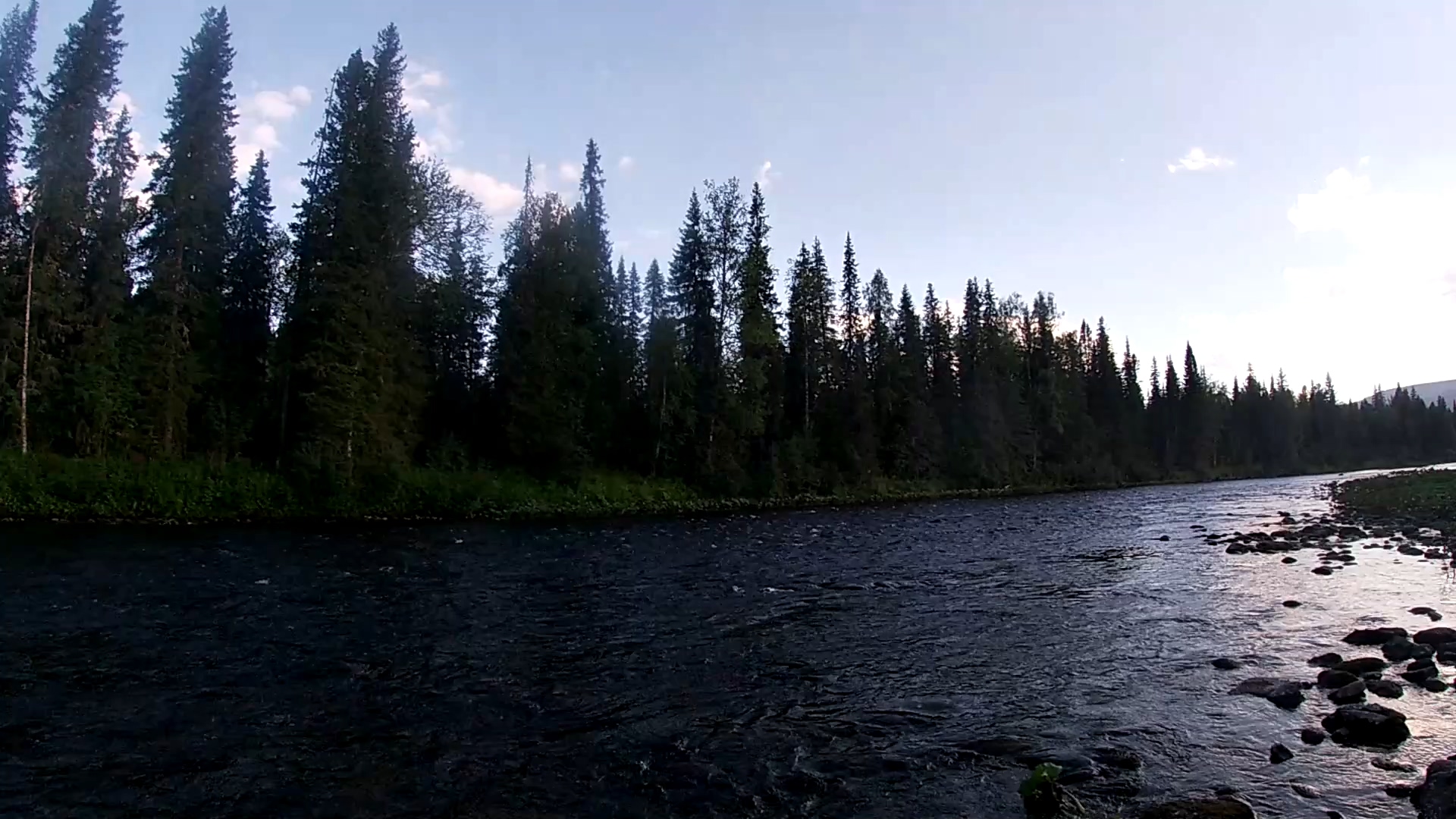 ЛОВИМ САМУЮ ВКУСНУЮ РЫБУ. #часть_2. смотреть онлайн