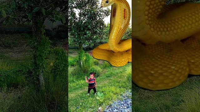 anaconda snake in real life P 130 #snake#short video #nagin #python #bigsnake #snakes #trending