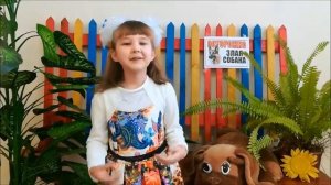 Злая собака