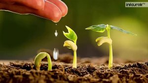 Защита почв