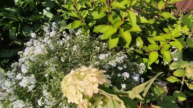 21 июля 2023 г. смотреть онлайн