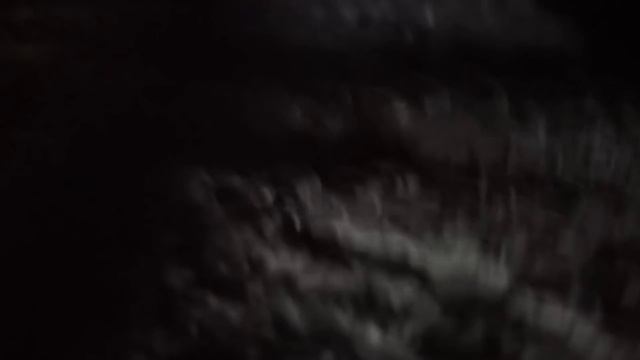 Щенки оказались под завалами, но мама собака сделала всё ради их спасения. смотреть онлайн