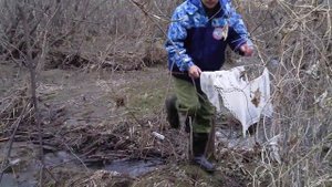 Выживут ли речные сибирские рыбки в аквариуме?