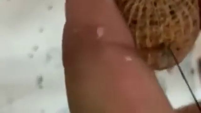 Как правильно монтировать пва стик. Советы рыбака. смотреть онлайн