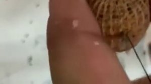 Как правильно монтировать пва стик. Советы рыбака.