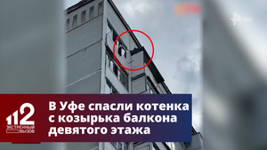 В Уфе спасли котенка с козырька балкона девятого этажа