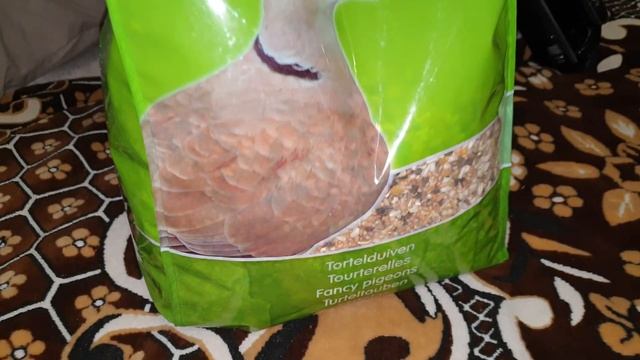 Заказали очень хороший бельгийский корм для кабачков смотреть онлайн