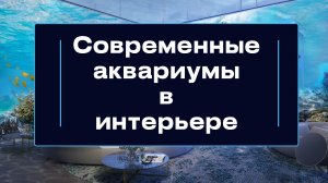 Аквариум в современном интерьере. Самые интересные аквариумы