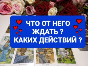 ЧТО ОТ НЕГО ЖДАТЬ.КАКИХ ДЕЙСТВИЙ.