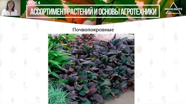 Как проходит обучение на курсе "Основы ландшафтного дизайна"