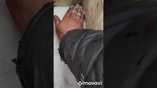 Хариус сухим посолом.