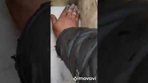 Хариус сухим посолом.