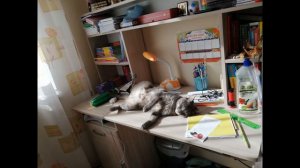 Доброта. Клип на песню "Доброта" авторы Д.Дунаев ,Т.Белова