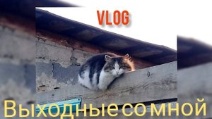 VLOG Выходного дня// дети в гостях// торты с помощниками // вязание в беседке