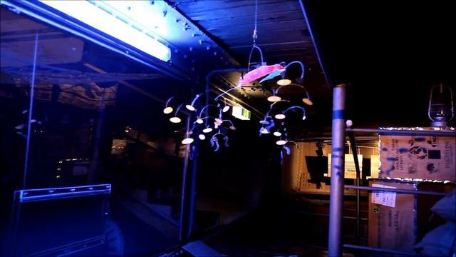 Carmen Botermann Rickmer Rickmers Art exhibition смотреть онлайн