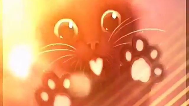 Ми ми животные смотреть онлайн