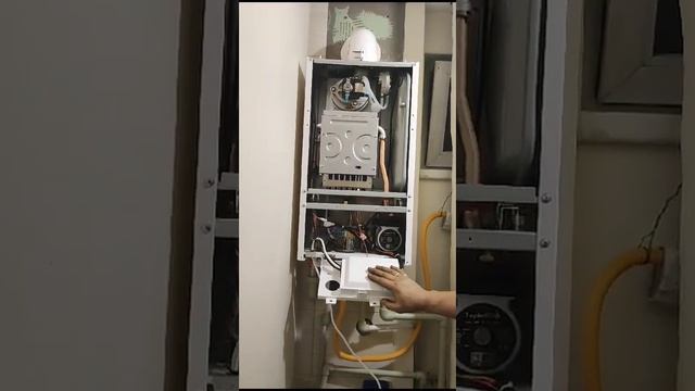 Устройство настенного газового котла Teploross kz