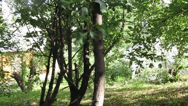 Я знаю... смотреть онлайн