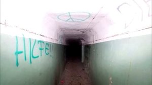 Мужчины нашли в лесу две трубы, торчащие из земли. То, что лежало под ними, напугало весь мир!