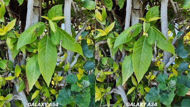 Samsung Galaxy A54 VS Samsung Galaxy A34 Camera Test смотреть онлайн