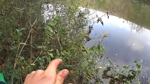 Ловля щуки на поплавок!Щука гнёт удочку! смотреть онлайн