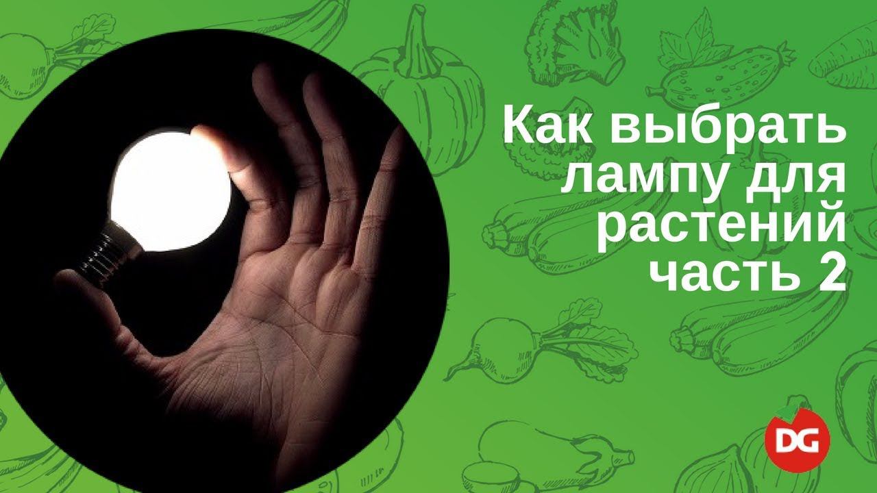 12 Как выбрать лампу для растений. Часть 2