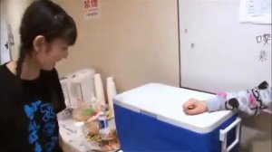Reina Tanaka and Sayumi Michishige