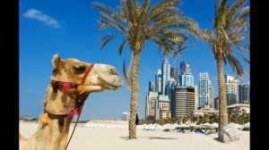 Hotel Dubai Marine Beach Resort & Spa in Dubai (Dubai - Vereinigte Arabische Emirate) Bewertung