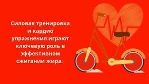 Как избавиться от жира на животе?