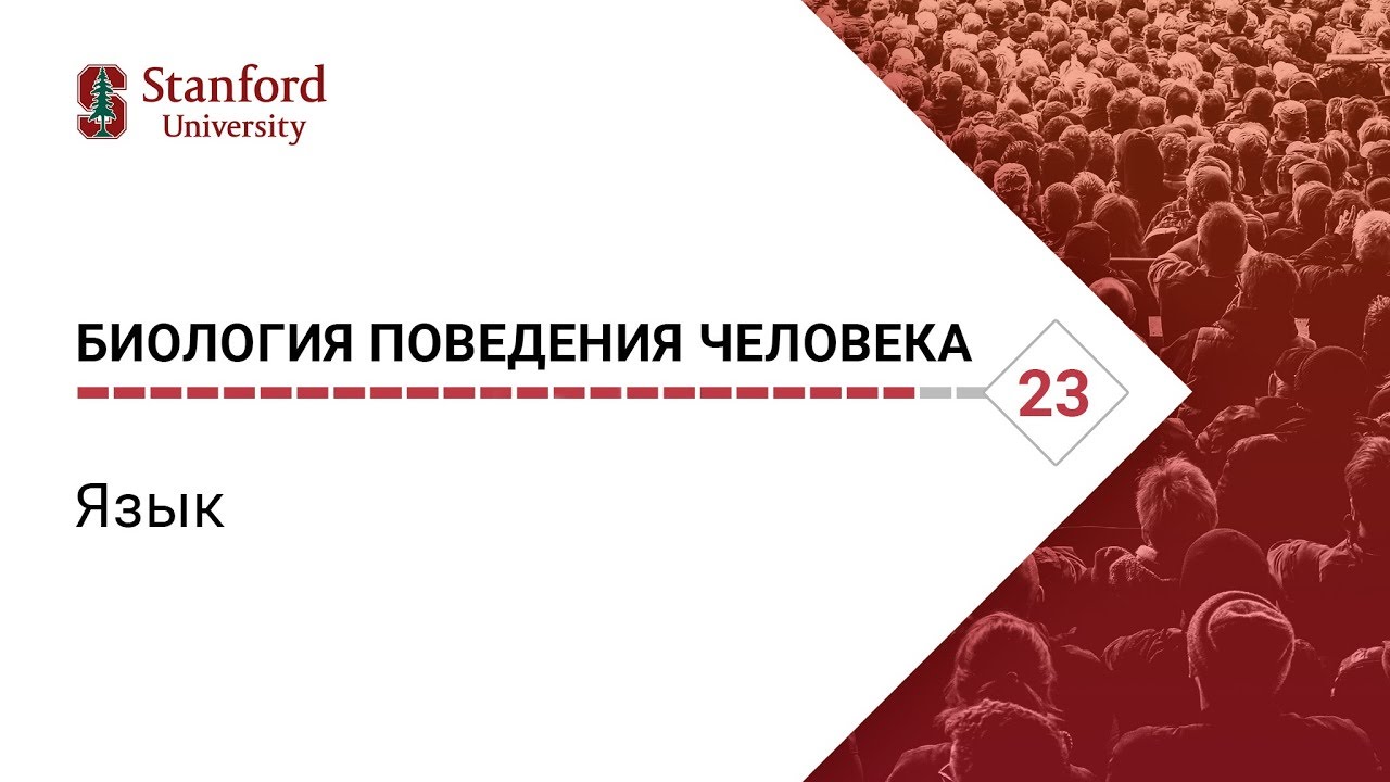 Биология поведения человека_ Лекция #23. Язык [Роберт Сапольски, 2010. Стэнфорд]