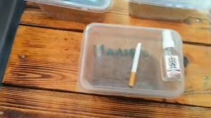 Ароматизация Табака Пробую что получилось