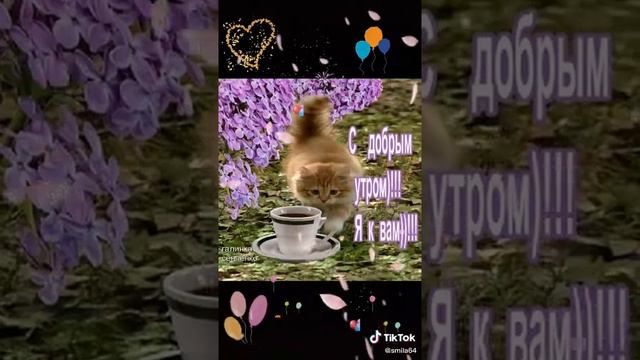 Пожелания на 1 мая! смотреть онлайн