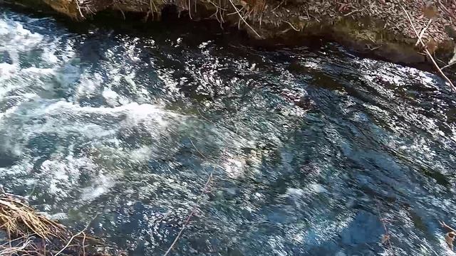 16.03.2021 Сорокалетье.mp4