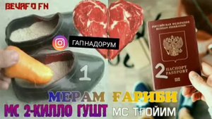 мс 2 кило гушт ft мс тгои  репи гариби