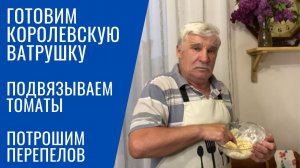 ПОДВЯЗЫВАЕМ ТОМАТЫ В ТЕПЛИЦЕ / Потрошим перепелов / Королевская ватрушка / Загородная жизнь на юге