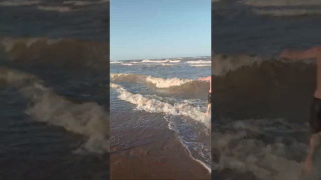 охота на креветок смотреть онлайн