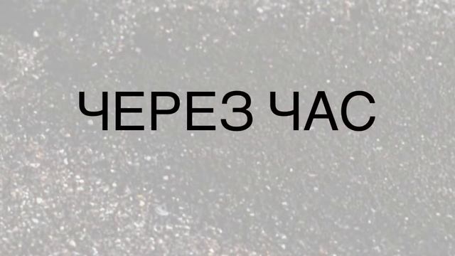 Мои соболя. Brow Bar 12 смотреть онлайн