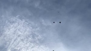 Николаевские голуби по северо- востоку. Крым