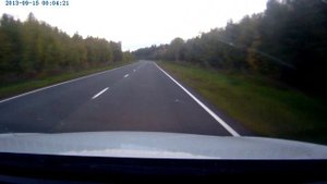 Лоси вышли на дорогу при скорости свыше 150 км/ч