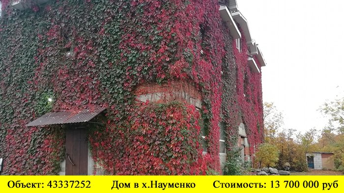 Купить дом хутор Науменко  | Переезд в Краснодарский край