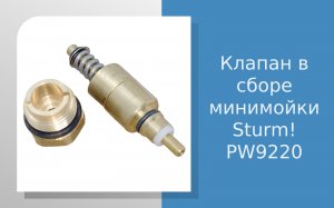 Клапан в сборе минимойки Sturm PW9220