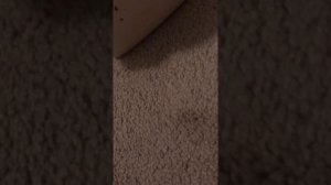 My Music Center - 32-keys Synthesizer