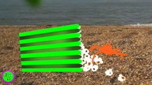 Мультфильмы для малышей. Приключения Крабика. Серия 2. Мультёнок