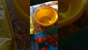 Картофельная запеканка с куриной грудкой. Очень простой рецепт!