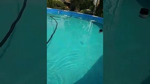 песок на дне бассейна,как легко собрать!!!