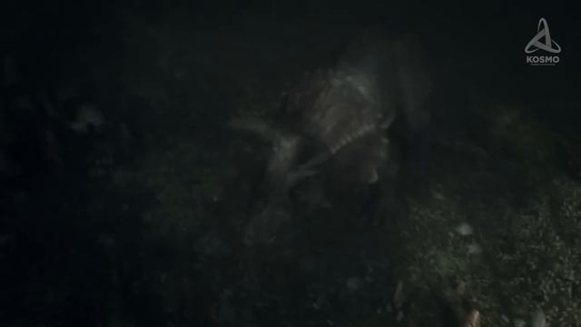 ЭТО САМЫЙ БОЛЬШОЙ МЕТЕОРИТ УПАВШИЙ НА ЗЕМЛЮ смотреть онлайн