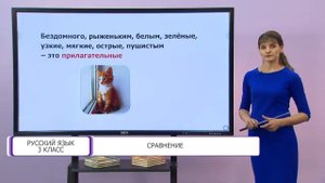 Русский язык. 3 класс. Сравнение текстов описательного и повествовательного характера /25.09.2020/