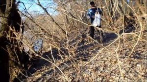 зачем мне бродить по лесу, не знаю