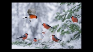 Удивительные соседи. Снегирь